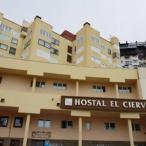El Ciervo Pensjonat
